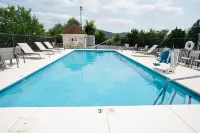 Holiday Inn Express & Suites Knoxville-North-I-75 Exit 112 Hotels in Powell