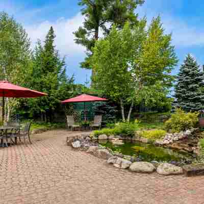 Best Western Adirondack Inn Hotel Exterior