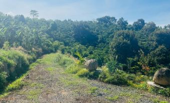 Thông Farmstay Loc Duc