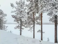 Lemmenliekki 3