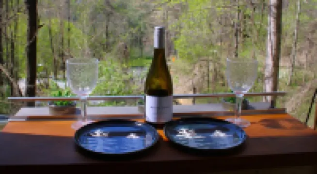 The Not SO “Tiny” Couple’s Cabin. 5 Minutes to Downtown with Hot Tub & Fire Pit