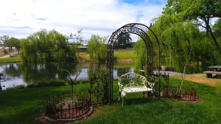 Unique Experience on a Working Alpacas Ranch.