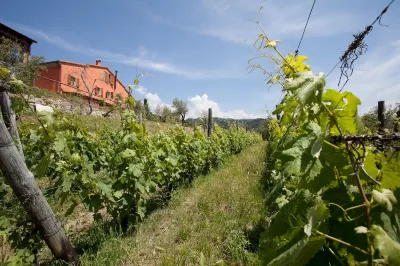 Two-room apartment in farmhouse surrounded by greenery and a few kilometers from the sea