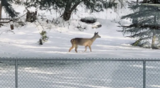 Hayden Hideaway ❤️ Quiet, Comfortable and Private. Close to everything!