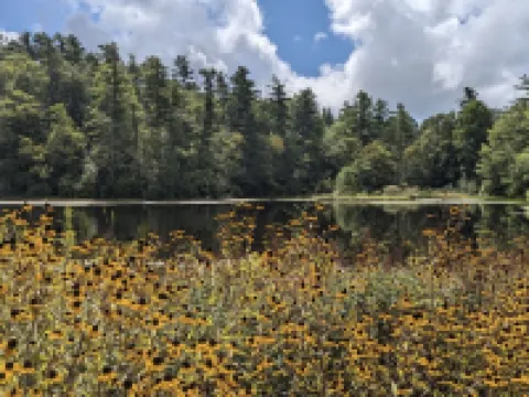 IN TOWN! 2 Blocks From Main Street. 2 Bedrooms/2 Baths. Free WiFi. Sleeps 4. Hotels in Highlands