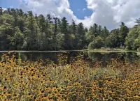 IN TOWN! 2 Blocks From Main Street. 2 Bedrooms/2 Baths. Free WiFi. Sleeps 4.