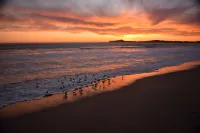 Stylish Seaside Cottage - Walking to Beach - Wi-Fi
