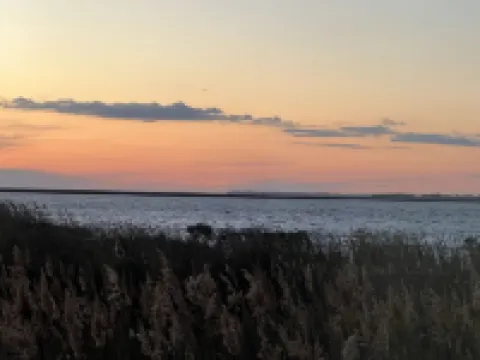 Obx Pelican's Paradise - Pool & Soundfront!