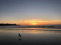 Ranch Style, Private Home Near La Jolla Shores - Walk to dining, shops, beach - ห้องครัว