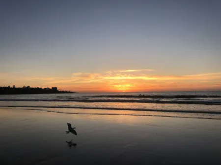 Ranch Style, Private Home Near La Jolla Shores - Walk to dining, shops, beach Отели рядом с достопримечательностью «Mushroom Beach»