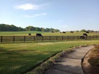 Discounted Rate July 10-20!  Quiet House Close to Sml and Liberty University