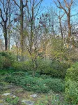 The Forest Door-The LAP of LUXURY in the HEART of Tryon-NEW apt above Harmon Fie - 4-Star