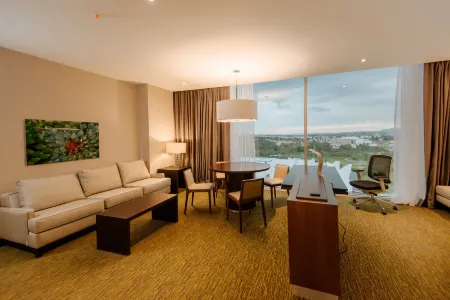 Hilton Garden Inn Puebla Angelópolis