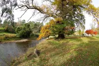 Historic Miners Cottage on Howqua River
