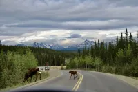 Great views from A Second Home in Denali, vacation rental, close to the Park!