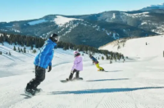 Mountain Condo - 9 min to Vail/BC