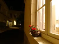 Beautiful studio between Chateau and Loire