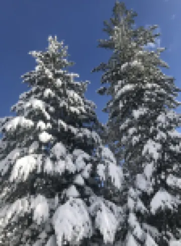 Old Mill Lodge Studio at Lake of the Woods