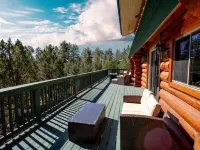 New Build Modern Log Cabin in the Heart of Pine on 2 acres of secluded Forest Hotels in Pine
