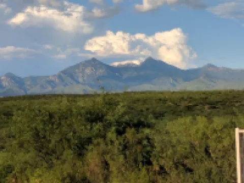 Birdwatchers Paradise on 1.5 ac  Golfing hiking & More