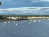 Location! Location! Location! Apt in the heart of Kenai! 1.5 miles to the Beach! Hotels in Kenai