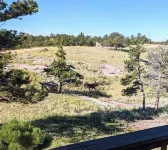 Vedauwoo, Curt Gowdy State Park, Cheyenne, and Laramie close!