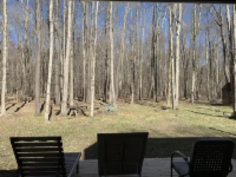 Fantastic Nordic Modern Cabin on Five Idyllic Acres