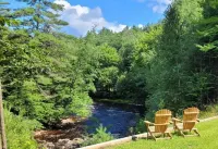 The River Pines