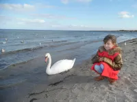 At the pool and beach in any weather between Lübeck-Travemünde and Boltenhagen.