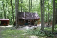 Rustic Mountain Retreat-Bear Paw