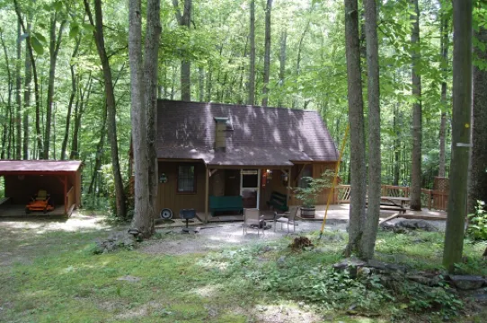 Rustic Mountain Retreat-Bear Paw