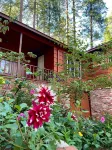 Mountain Meadow View Retreat