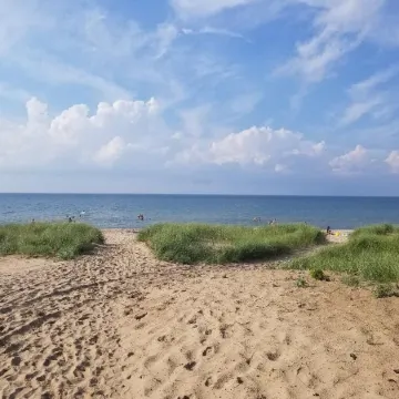 An Escape to a Dream of Green and relaxation.