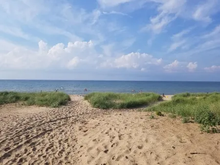 An Escape to a Dream of Green and relaxation.