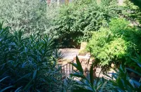 Central old town location with sea view & patio garden Hotels near Our Lady of the Angels Church