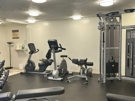 🌺Lush Oceanfront Penthouse with Pool, Hot Tub, Mountain Sunrises, Ocean Sunsets Отели рядом с достопримечательностью «Kīhei Kalama Village»