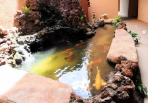 Ocean Front with Spectacular View