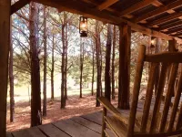 Cozy Cabin in the woods at Bluegill Lake Cabins Hotels in Van Zandt County