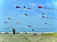 In Heart of Long Beach. Beautiful Ocean View. Walk to beach, Restaurants, Shops.