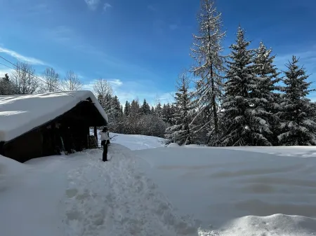 Chalet d'alpage Arcs 1600