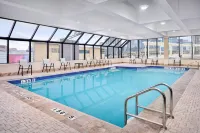 Sheraton Hamilton Hotel - Pools