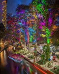 IG-Worthy Fiesta DT Retreat hotel Apt with free Parking and Pets Allowed