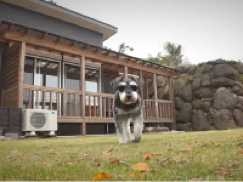ペットと泊まれる宿 どりあん 長島町のホテル