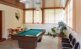 Hotel Skalni Mlyn
