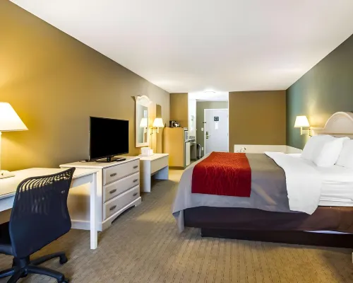 Quality Inn Columbia Hotels in Spring Hill