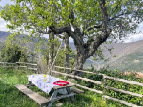 Ca' da Ciassa (Vlo130) Hotels in Prela