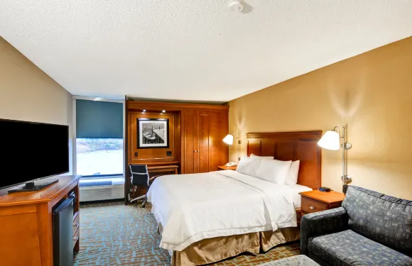 希爾頓歡朋酒店-亨德森維爾