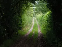 特林格蘭奇小屋 - 可住2人 - 現場停車 科勒姆酒店
