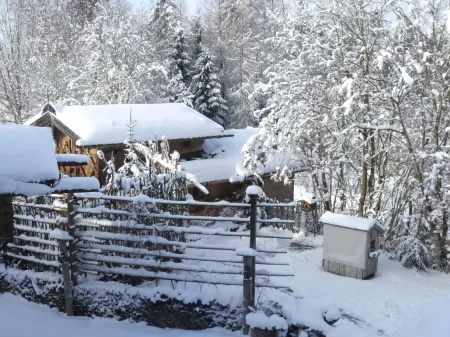 Cozy Eco Friendly Chalet with Countless Extras Near Lake in Asten Отели в г. Титмонинг