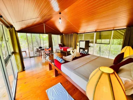 Yala Hotel Lion -Air Conditioned High Luxury Safari Camp